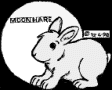 Picture of Moonhare Copyright�1999 Moonhare ALL RIGHTS RESERVED